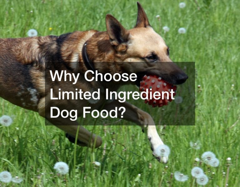 why-choose-limited-ingredient-dog-food-cat-diseases